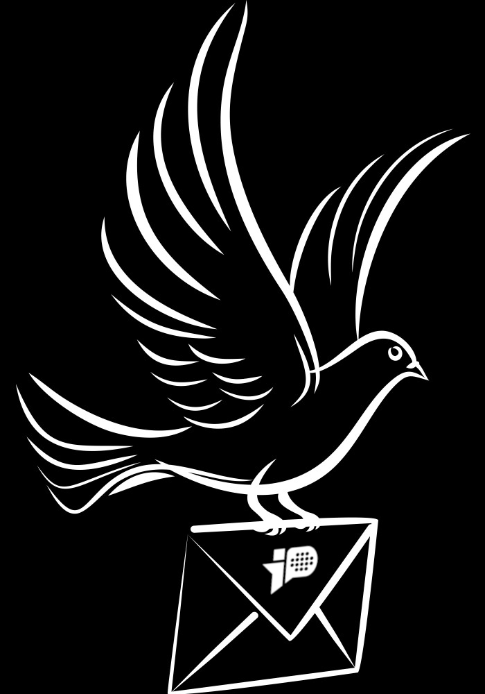 un pigeon volant tenant une lettre qui porte le logo d'Infinite Padel